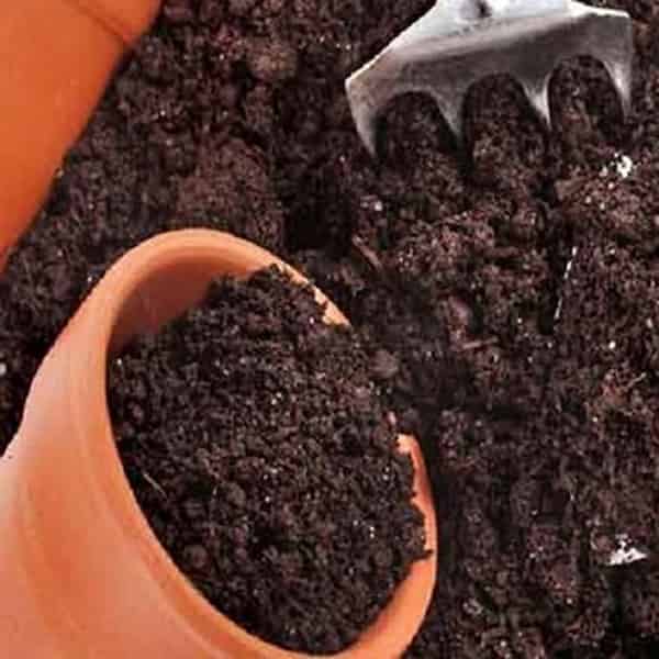 قیمت کود ارگانیک بیوکمپوست زرفشان + خرید باور نکردنی